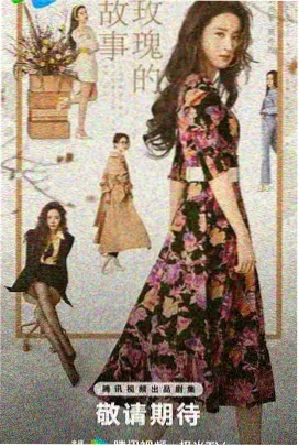 总裁的星河前妻